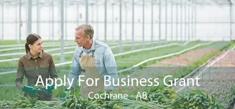 Apply For Business Grant Cochrane - AB
